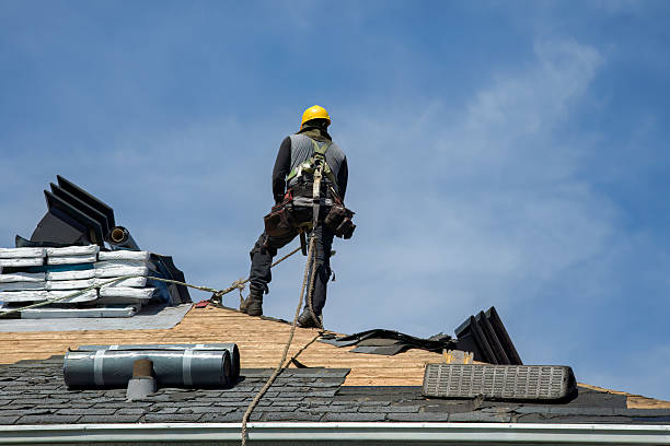 Professional Gutter Installation technician working in Sapelo Island, GA